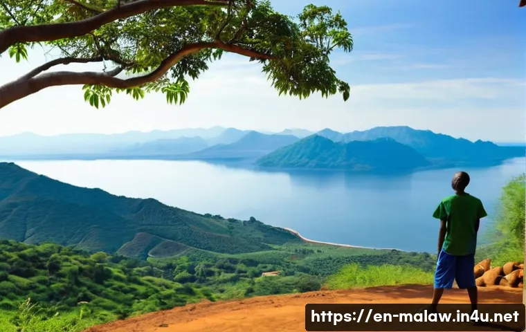 Your Passport to Paradise Navigating Malawi Visa Requirements and E-Visa Application 4 말라위 비자 발급 방법 관련 이미지 2
