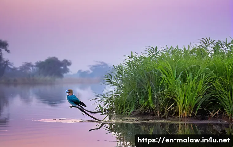 말라위 국립공원 투어 정보 - A serene riverside view at Liwonde National Park during early morning mist, featuring a colorful lil...