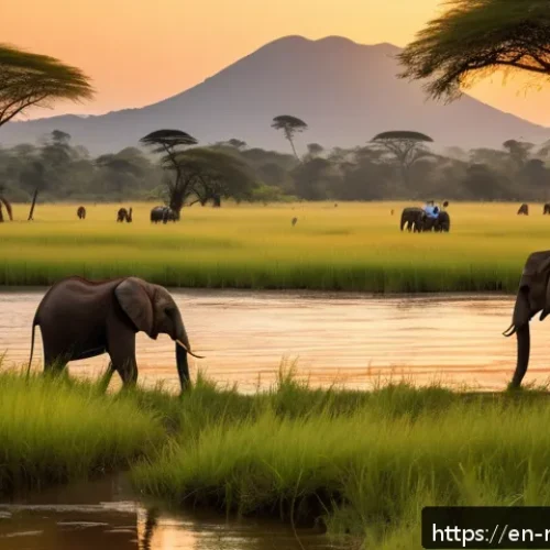 말라위 여행자 보험 필요성 - A serene safari scene in Malawi&rsquo;s Liwonde National Park at golden hour, featuring a small group of t...
