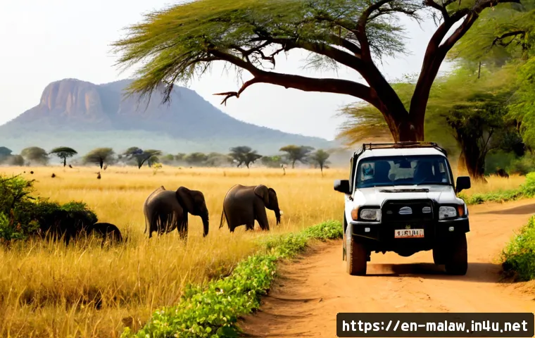 말라위에서 사파리 체험하기 - Photorealistic safari game drive in Liwonde National Park, Malawi, a small open 4x4 vehicle viewed f...