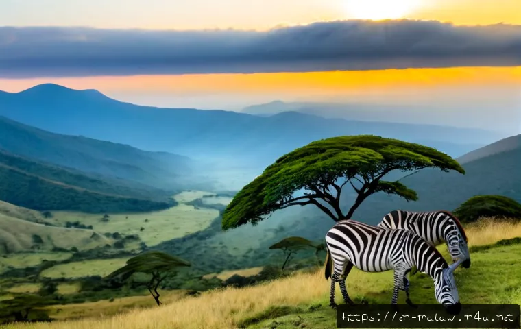 Malawi Travel Highlights: How to Choose Between Lake Malawi, Safaris, Mountains, and Cultural Stops 3 말라위 주요 관광지 관련 이미지 1
